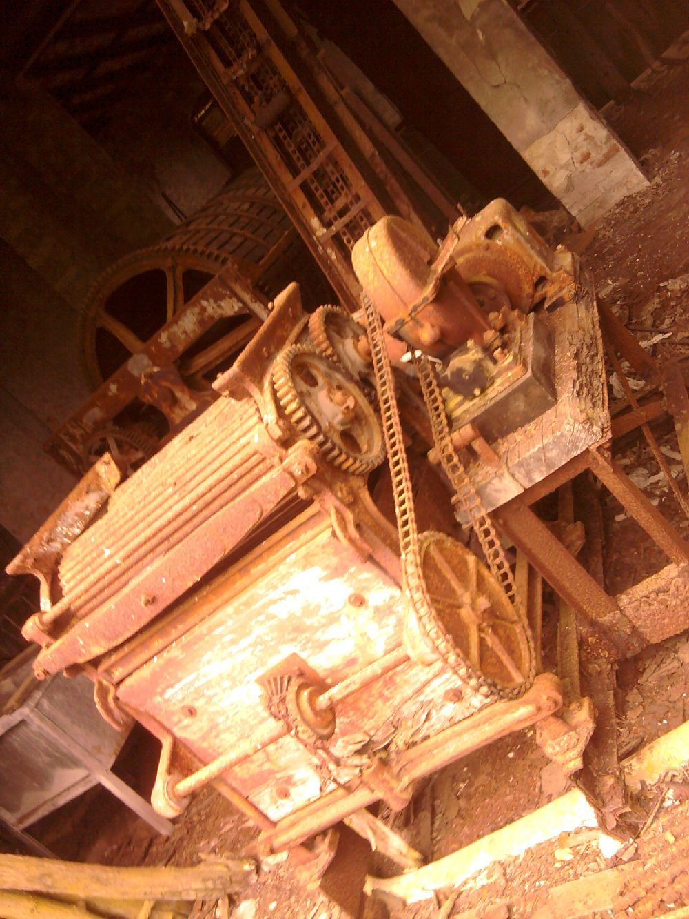 image01 image01