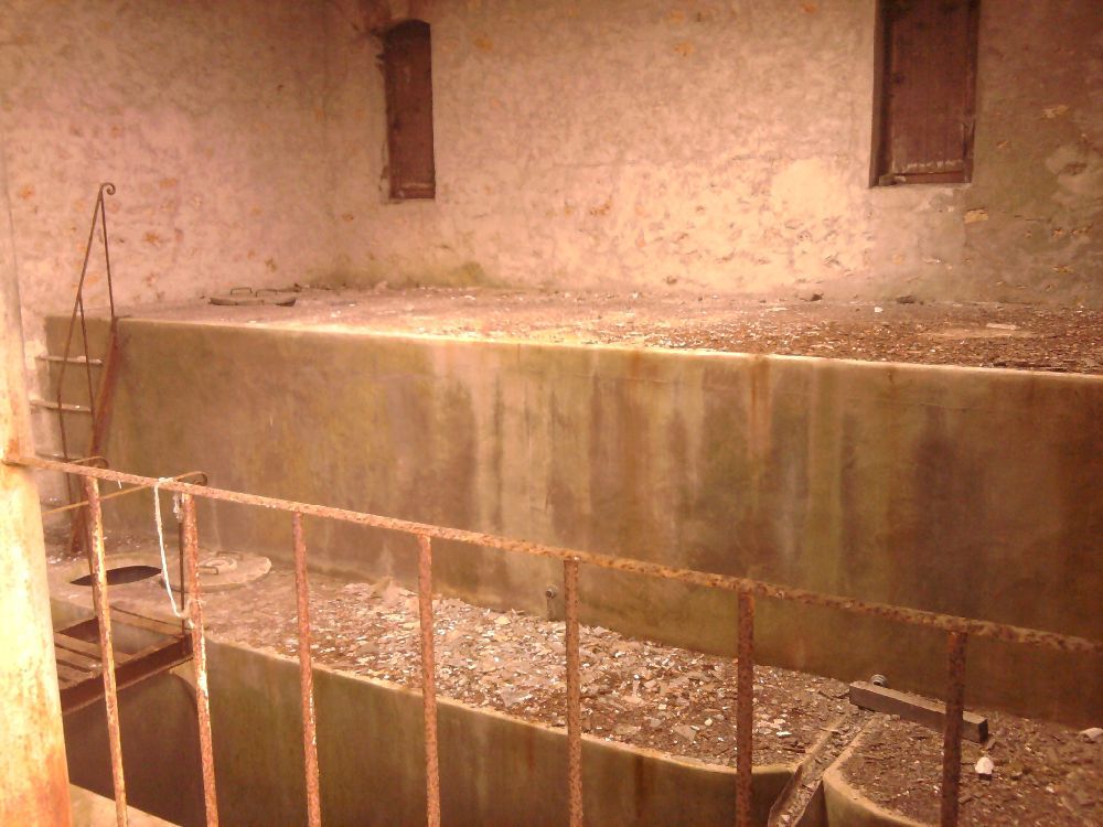 image03 image03